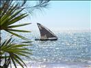 Pirogue de Pécheurs - Canal de Mozambique